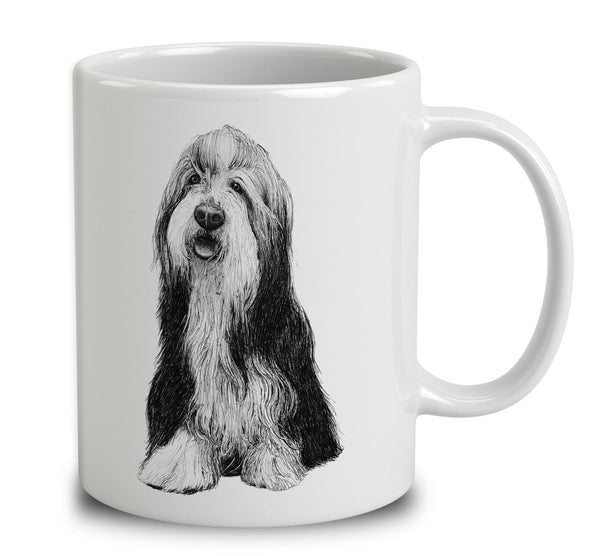 Bearded Collie Sketch
