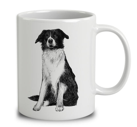 Border Collie Sketch