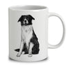 Border Collie Sketch