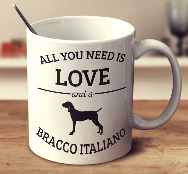 All You Need Is Love And A Bracco Italiano
