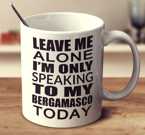 Leave Me Alone Im Only Speaking To My Bergamasco Today
