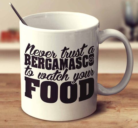 Never Trust A Bergamasco To Watch Your Food