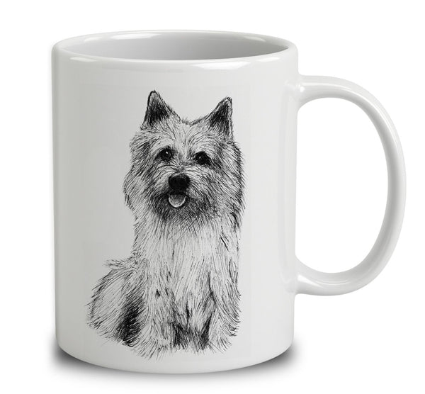 Norwich Terrier Sketch