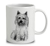 Norwich Terrier Sketch