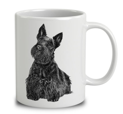 Scottish Terrier Sketch
