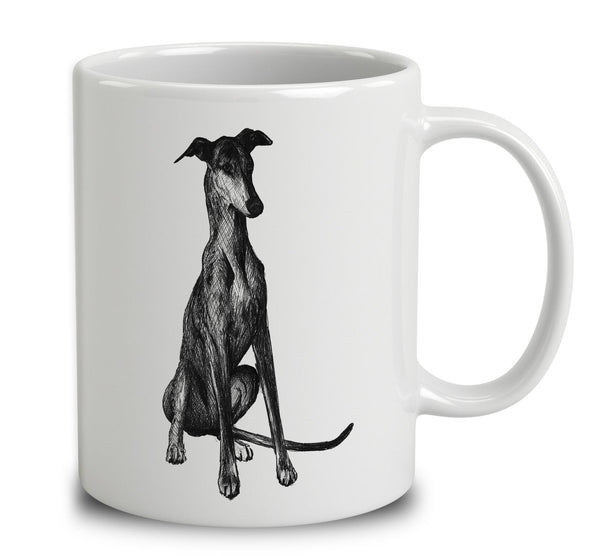 Spanish Greyhound Sketch