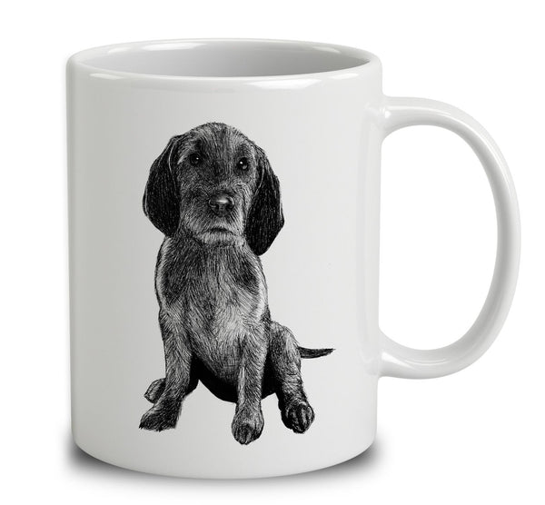 Basset Fauve De Bretagne Sketch