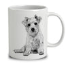 Norfolk Terrier Sketch