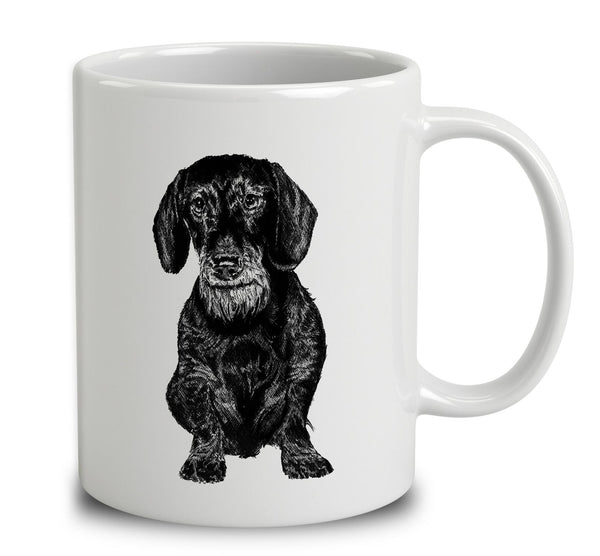 Wiry Haired Dachshund Sketch