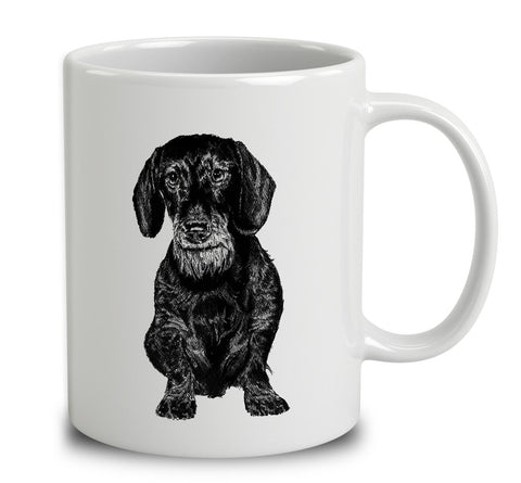 Wiry Haired Dachshund Sketch